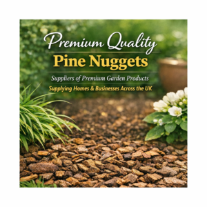 Devon Pine Nuggets (35–60mm)